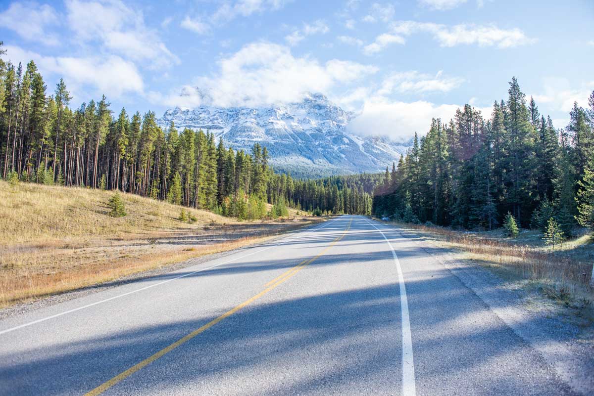Road with views of the mountains on the Bow Valley Parkway