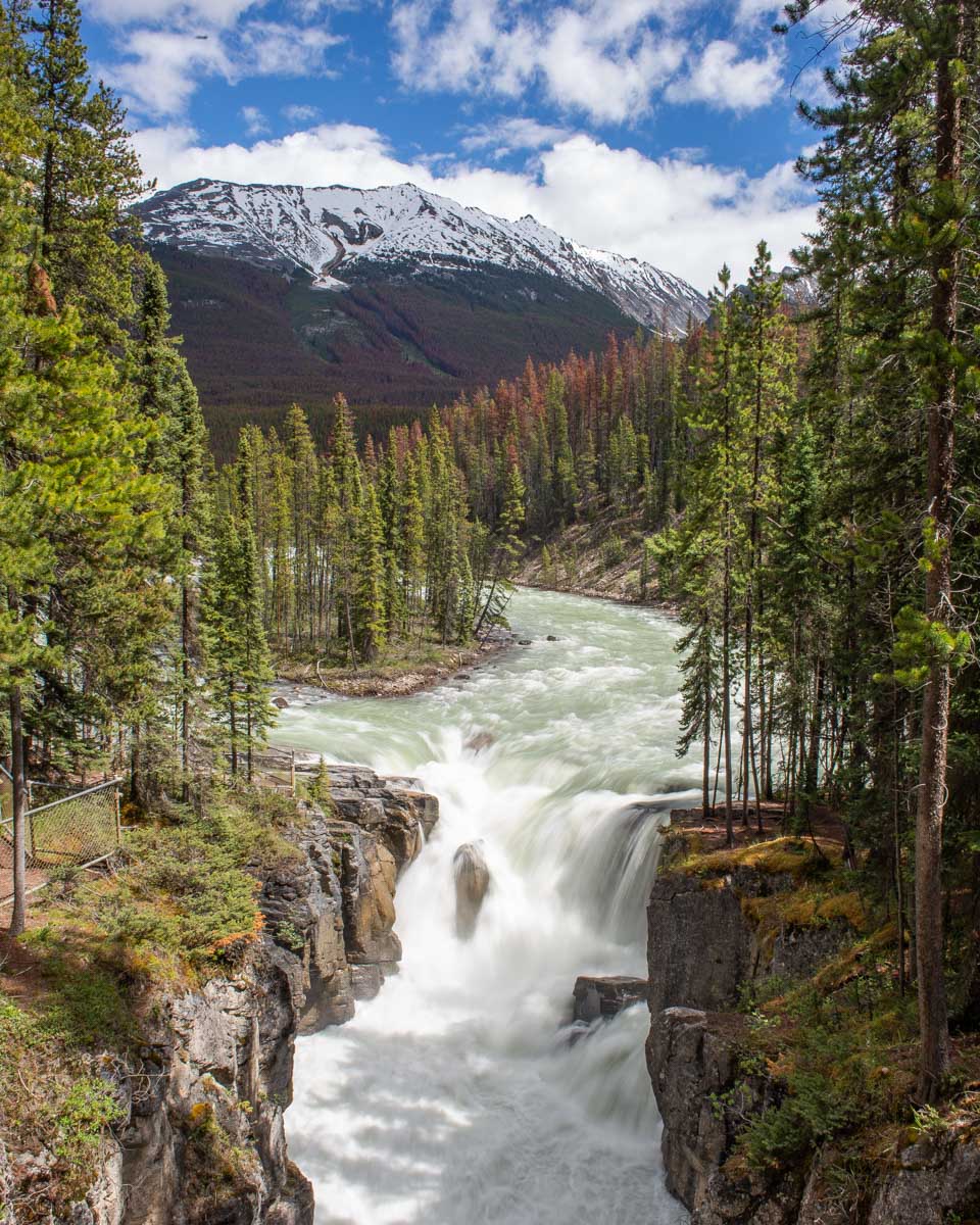 Sunwapta Falls in Jasper National Park