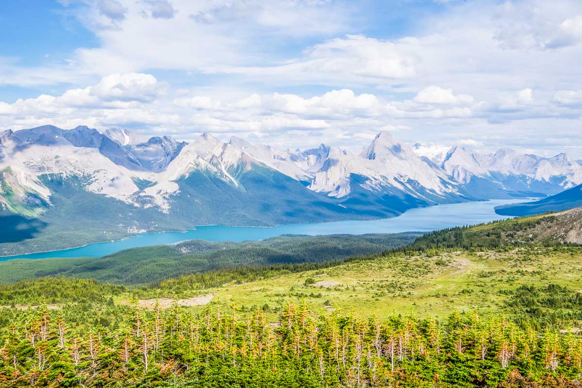 View from the top of the Bald Hills Trail