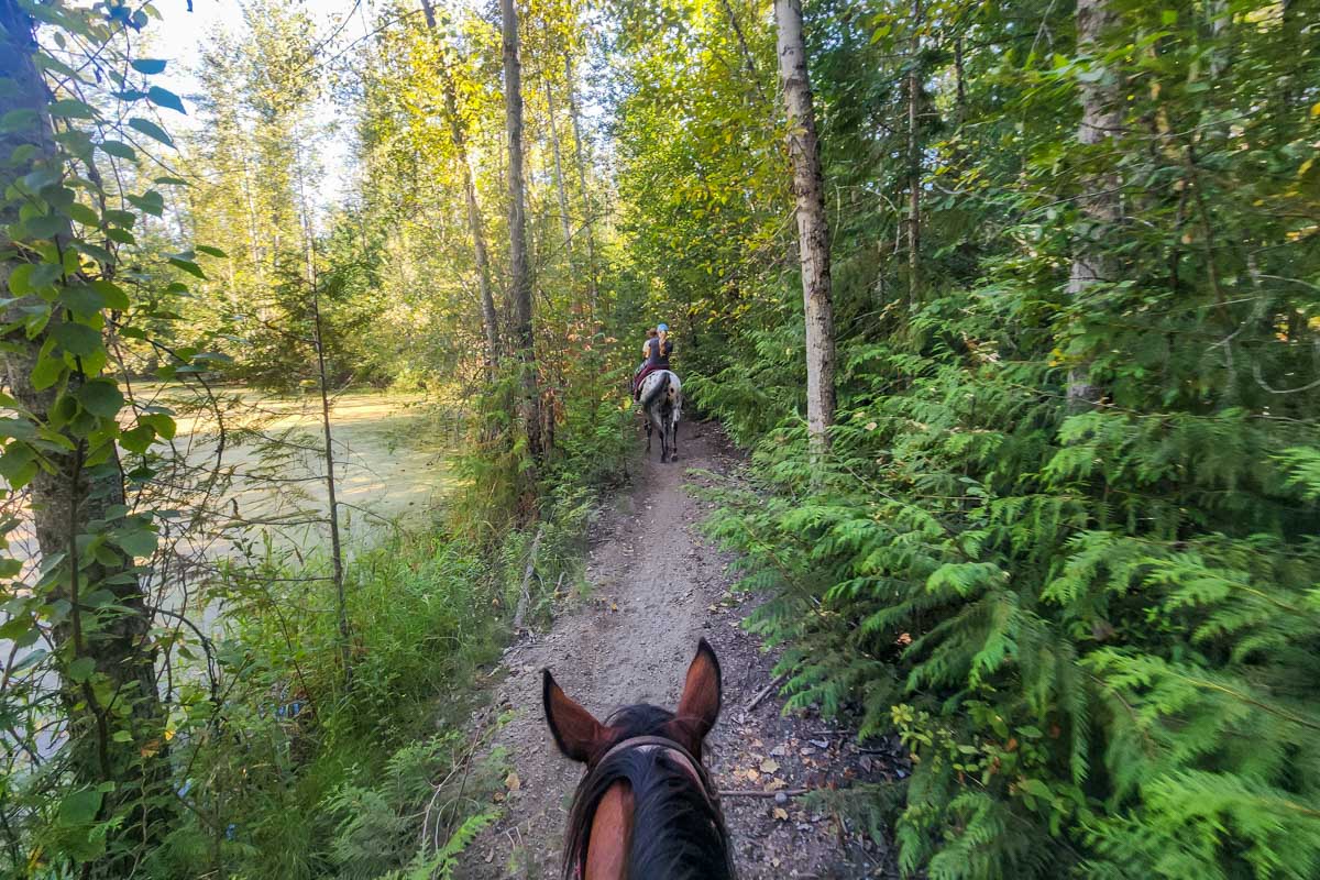 A horseback riding tour in Banff