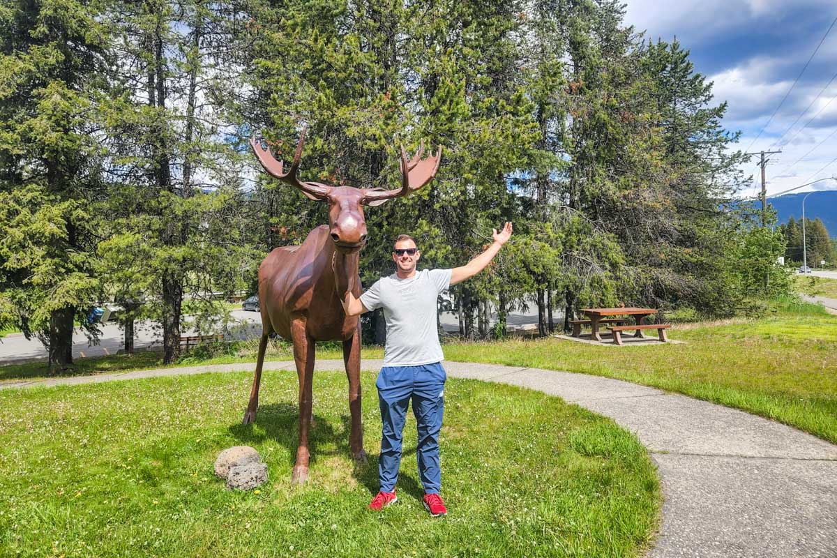 Daniel poses for a photo with the moose at the Wells Gray Provincial Park visitor center