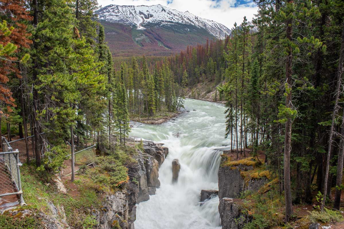 Sunwapta Falls Jasper National Park, Canada