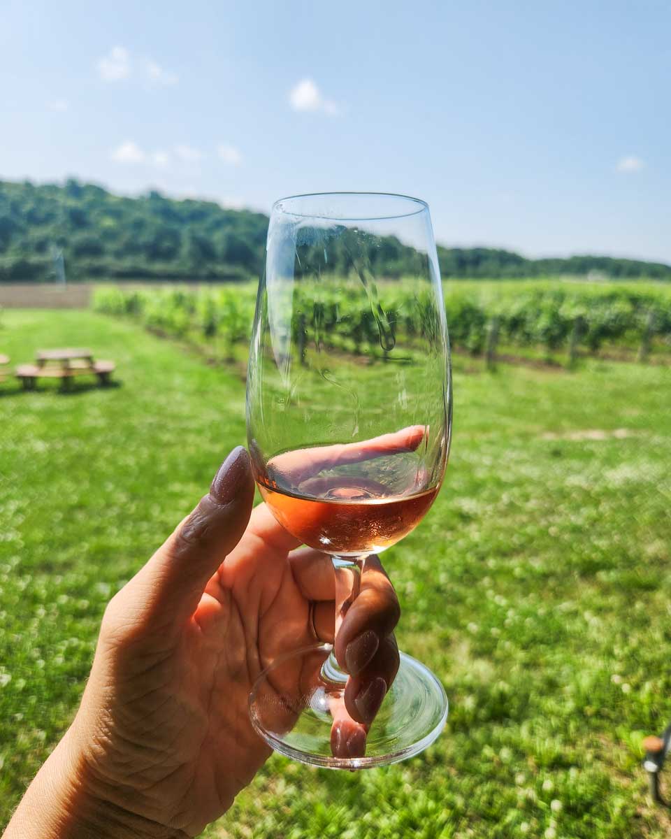 A glass of wine at Niagara College Teaching Winery on a tour to Niagara Falls