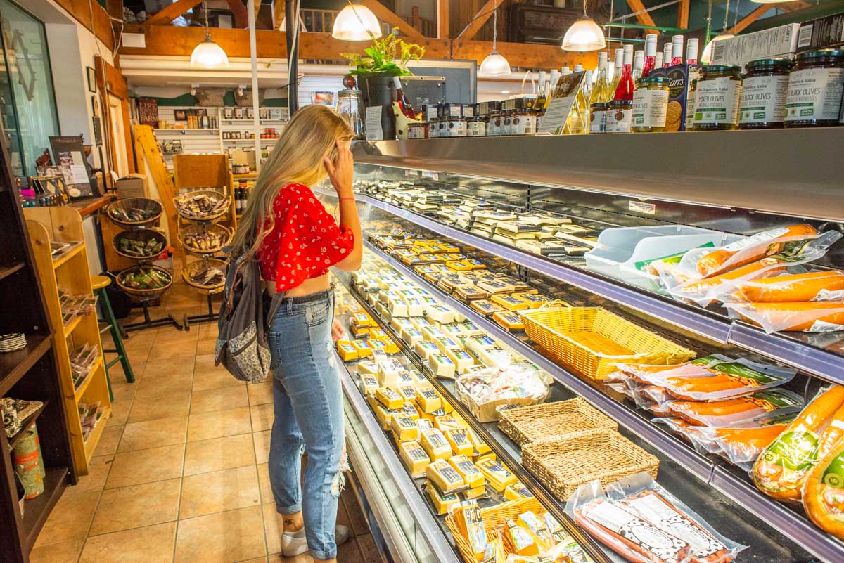 Bailey at Armstrong Village Cheese, Armstrong, BC