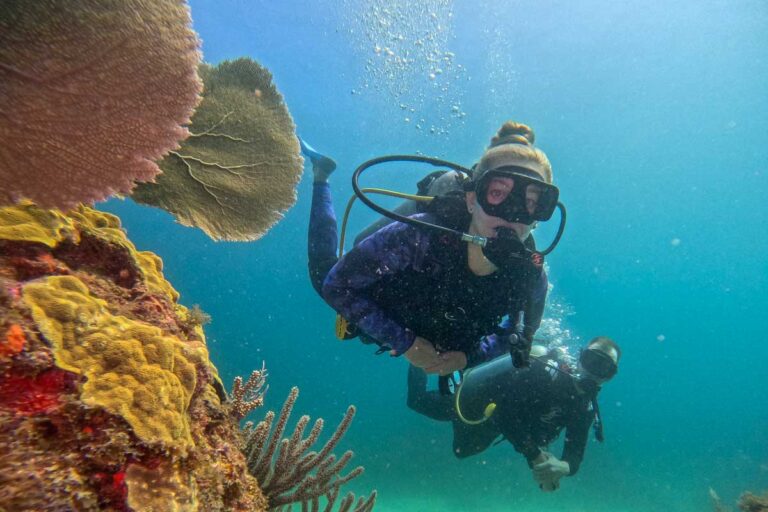 Daniel and Bailey swim past some corals while scuba diving in Rio De Janeiro, Brazil