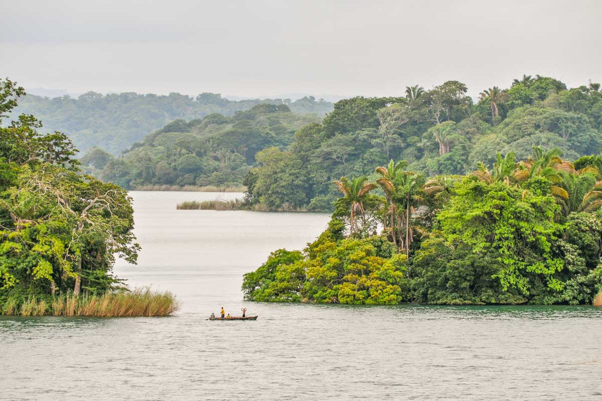 Lake Gatun Wildlife Tour from Panama City  