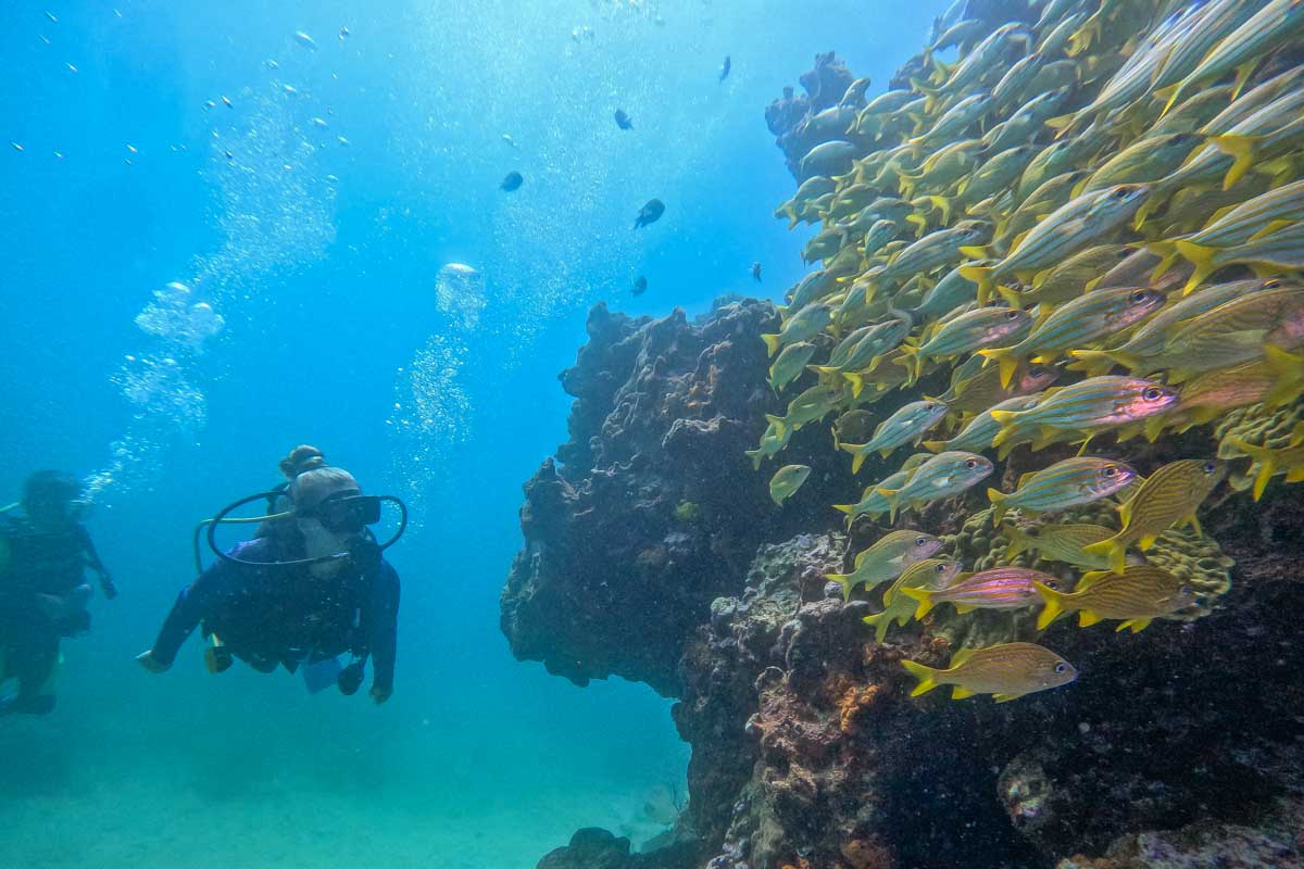 Scuba diving in Rio De Janeiro, Brazil