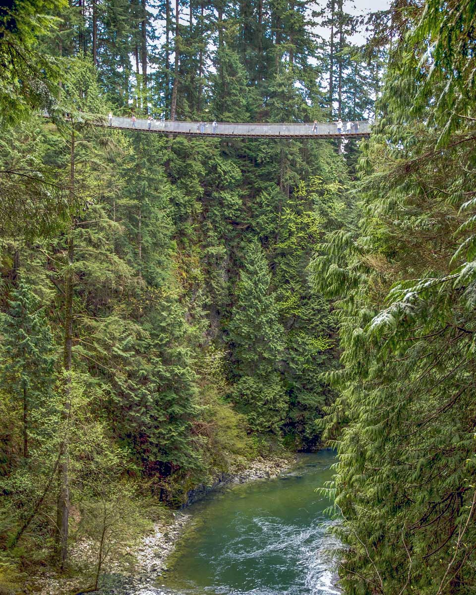 The Capilano Suspension bridge above the river in Vancouver