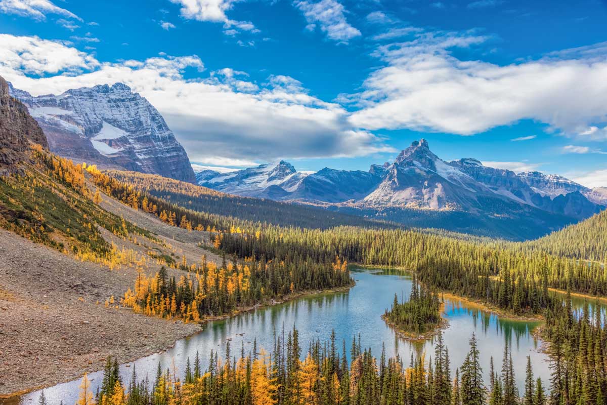 View of Lake O'Hara from above in Canada