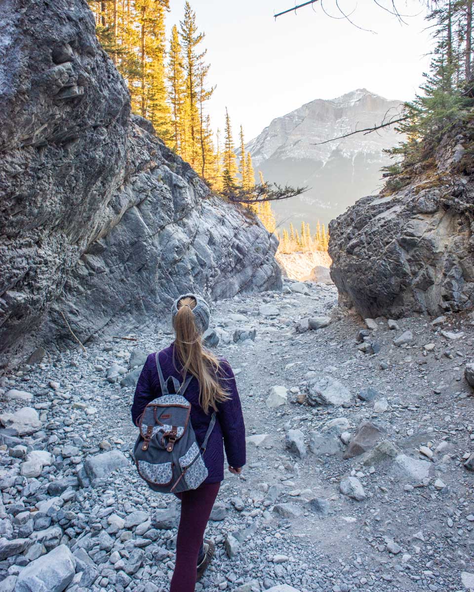 bailey walks through Grotto Canyon during the winter
