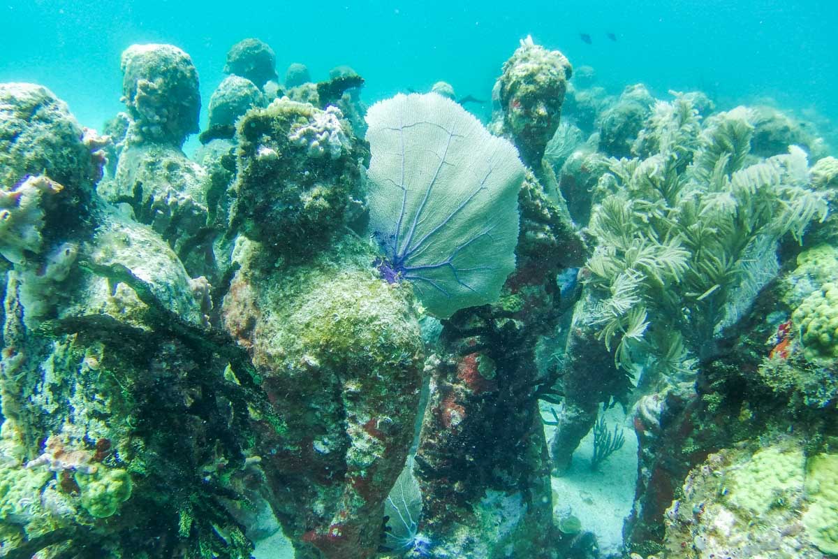 MUSA coral reef in Cancun