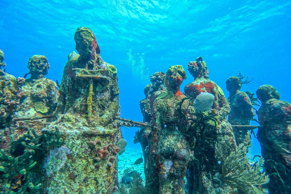 MUSA reef in Cancun on a snorkeling tour