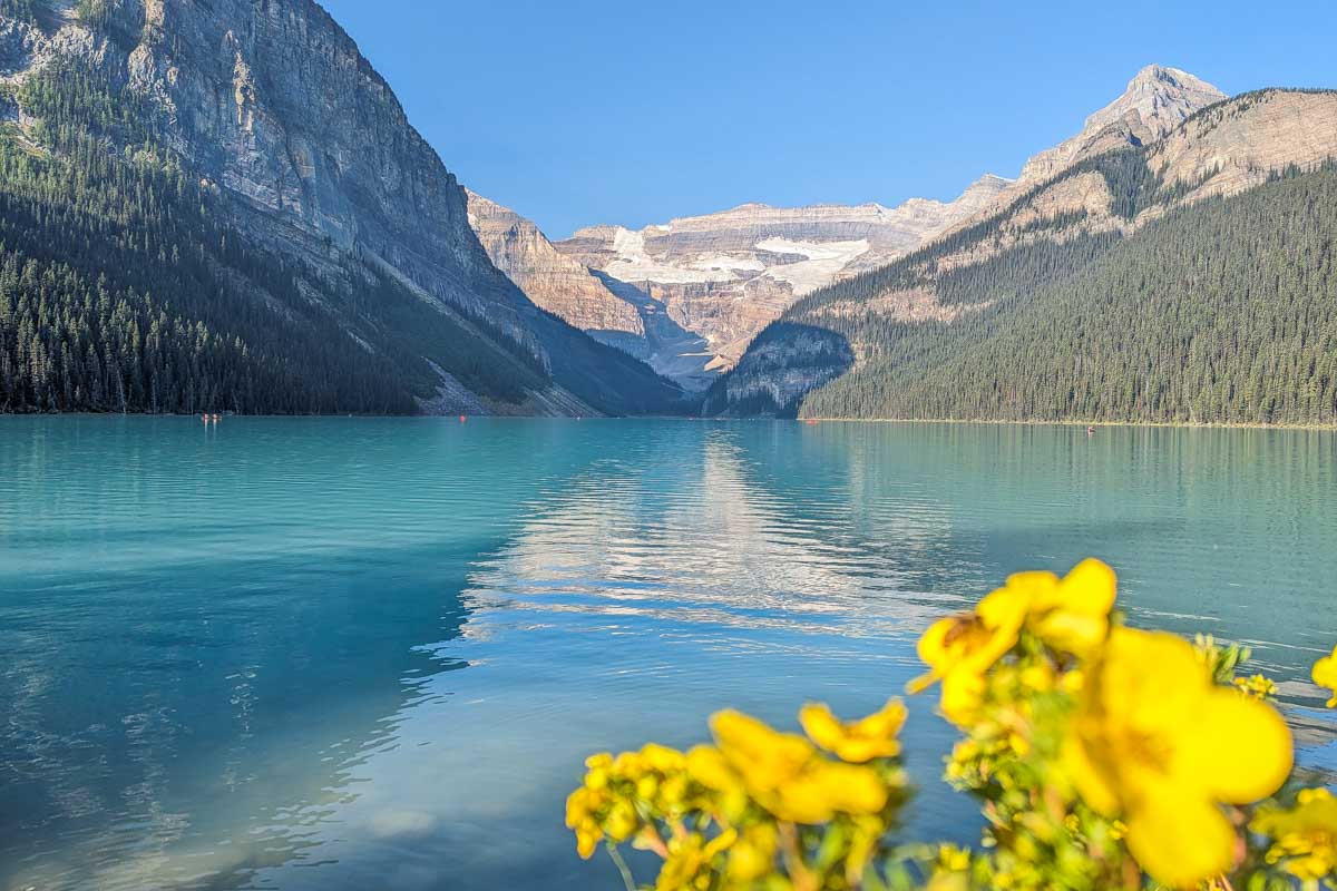 Yellow flowers and blue water at Lake Louise