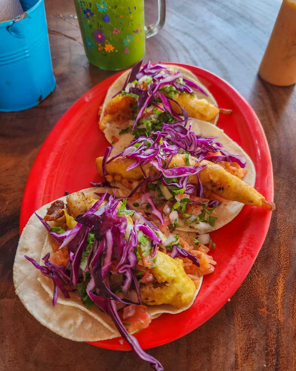 plate of seafood tacos in Mexico City