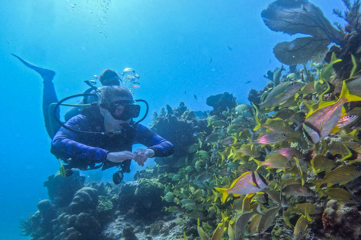 Bailey swims past a huge school of fish on a scuba diving trip from Playa del Carmen, Mexico