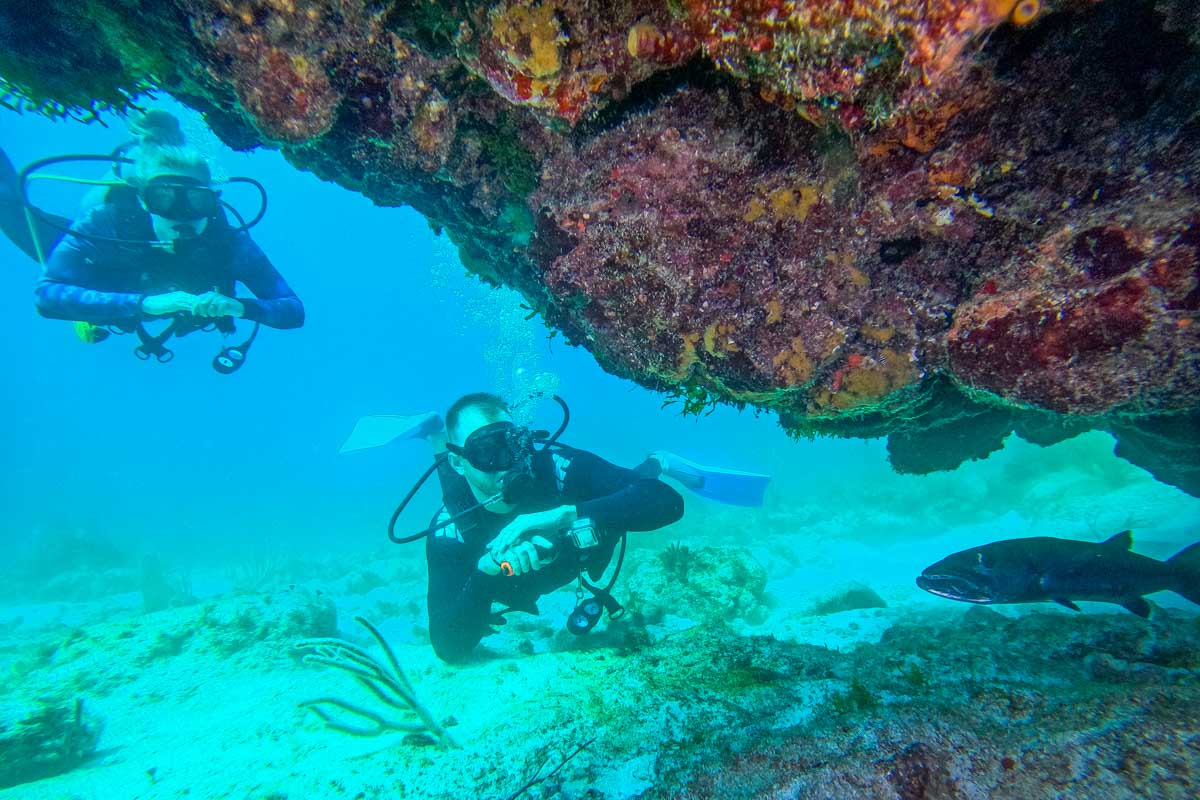 Bailey and Daniel look under a rock for fish while diving Puerto Morelos, Mexico