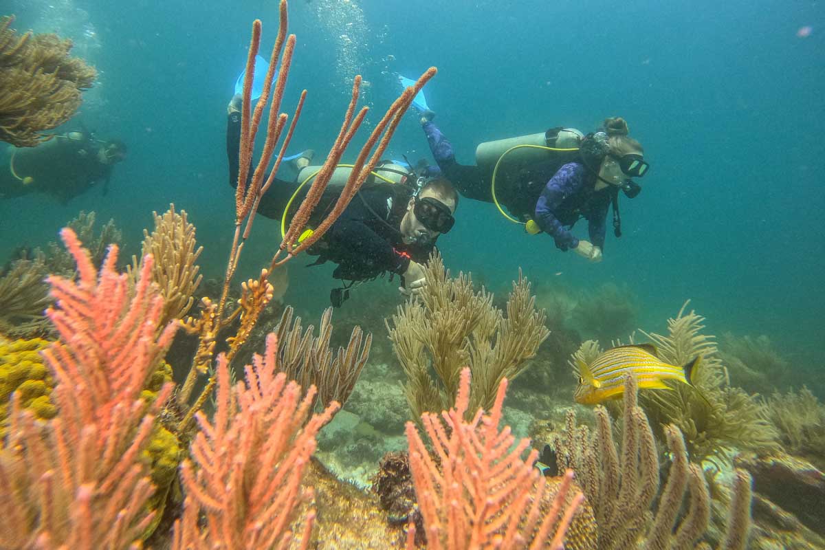 Bailey and Daniel scuba diving with beautiful coral and fish around in Puerto Morelos, Mexico