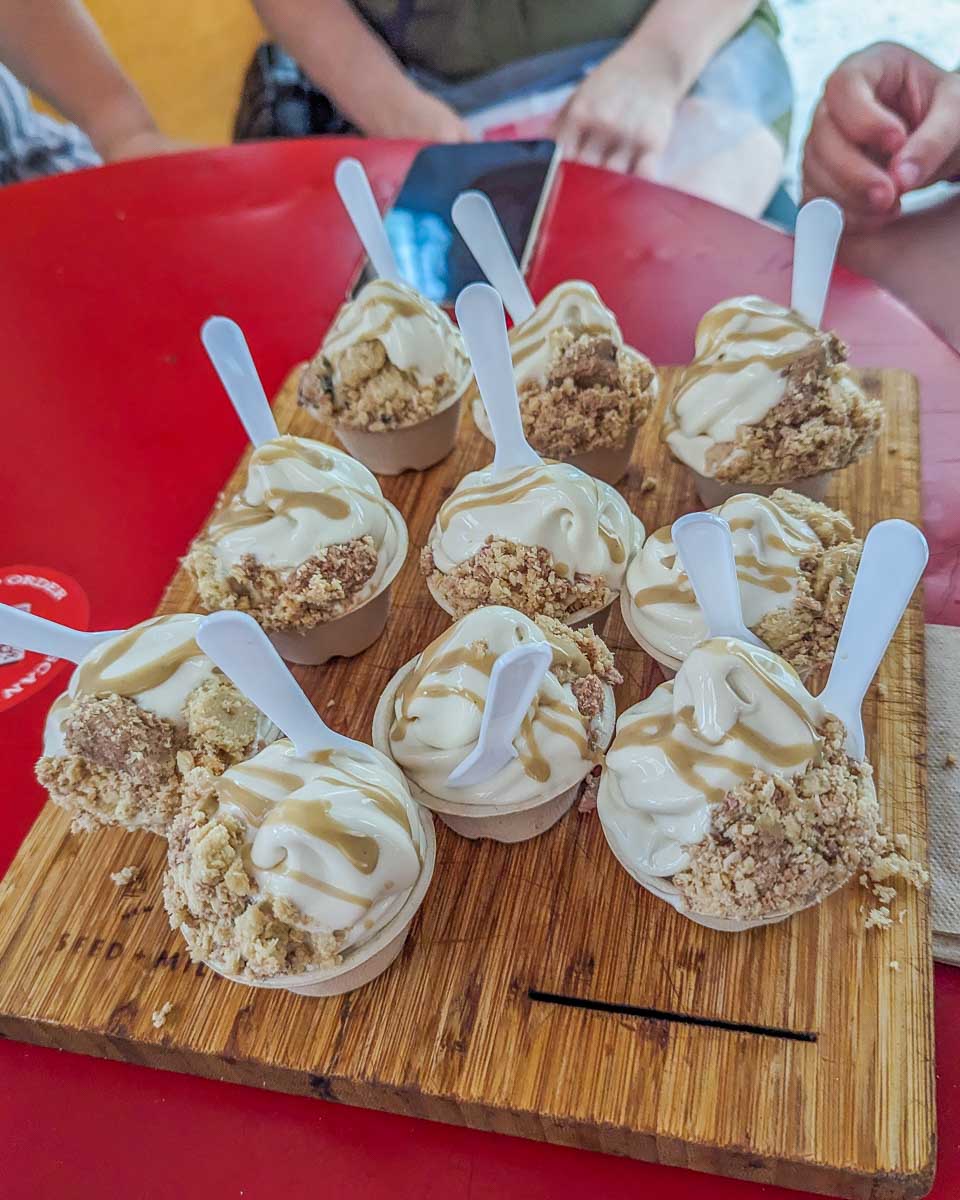 Dessert on our Chelsea Market food tour which was a vegan ice cream from a local store