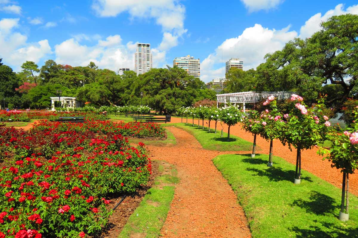 Rose gardens at Tres de Febrero Park 