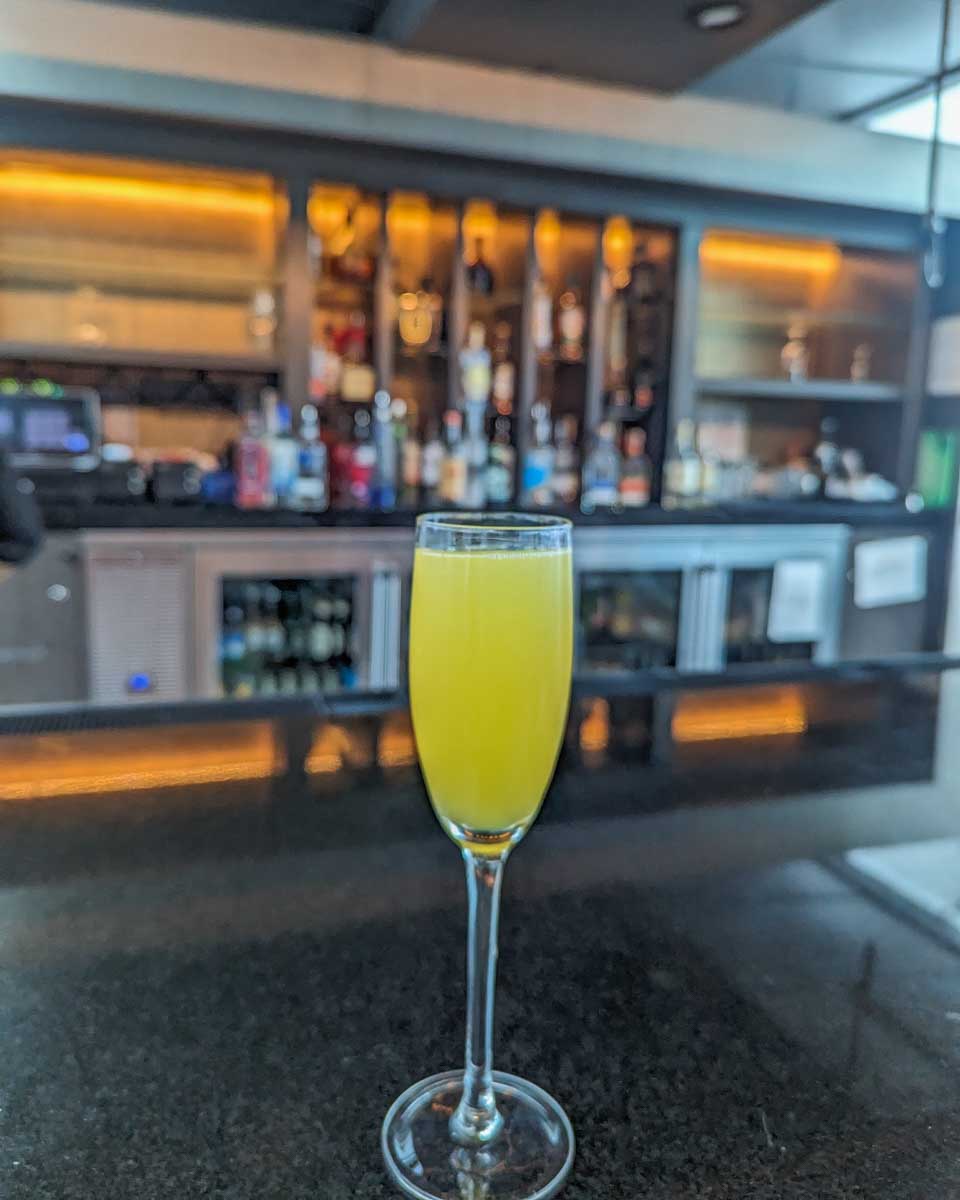 Mimosa on a cruise in Toronto