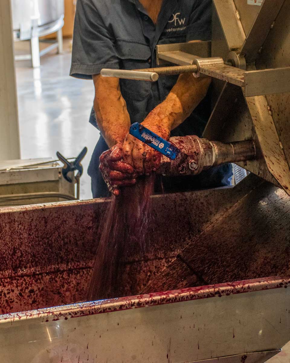 A man filters wine at a winery in the Swan Valley near Perth