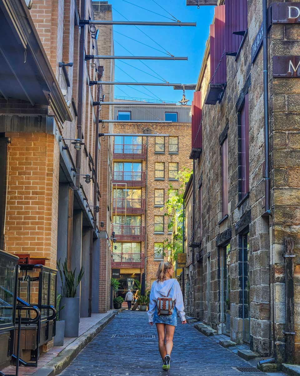 Bailey walks a small alley in The Rocks, Sydney, Australia