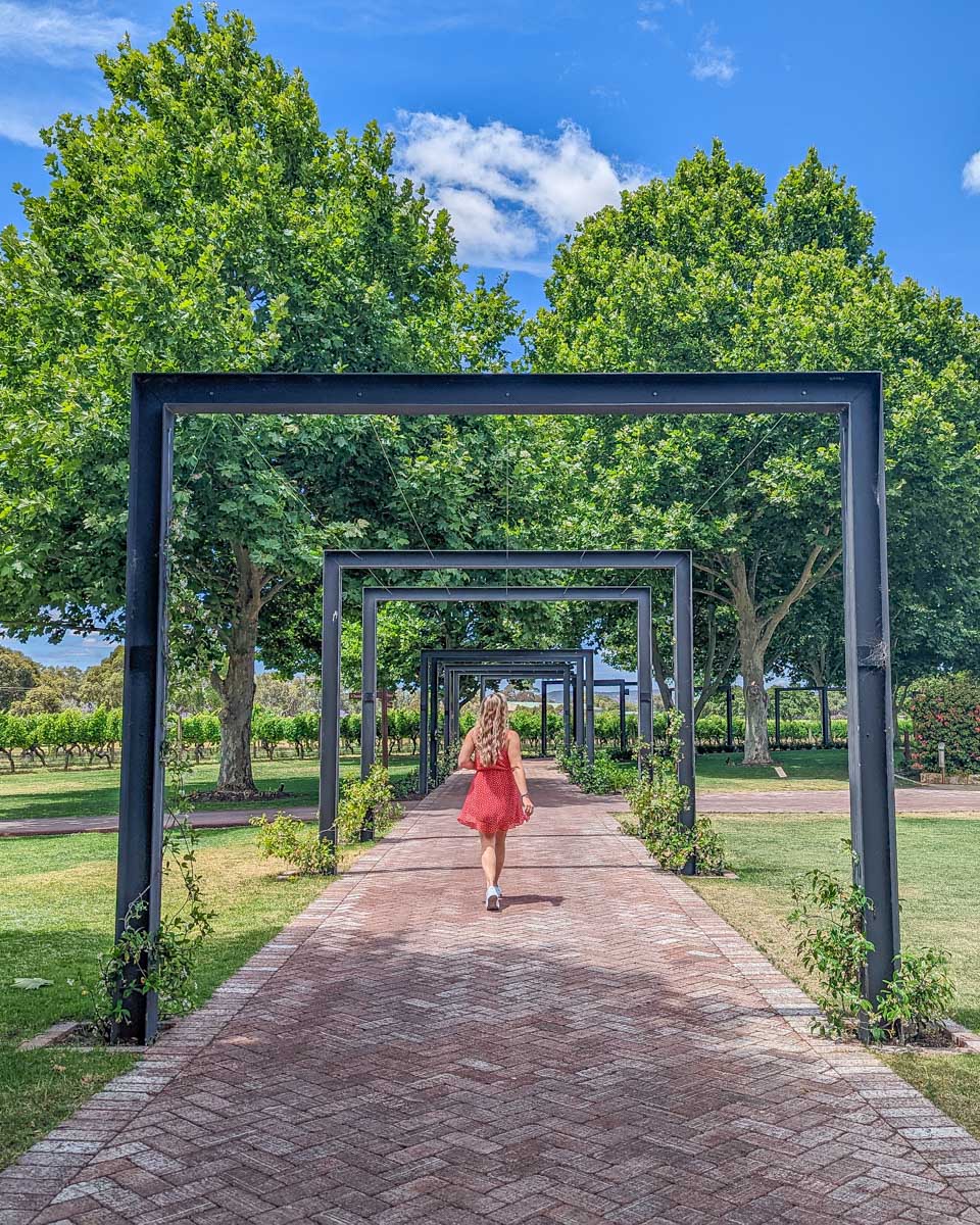Bailey walks around a beautiful winery in the Swan Valley Wine Region near Perth, WA