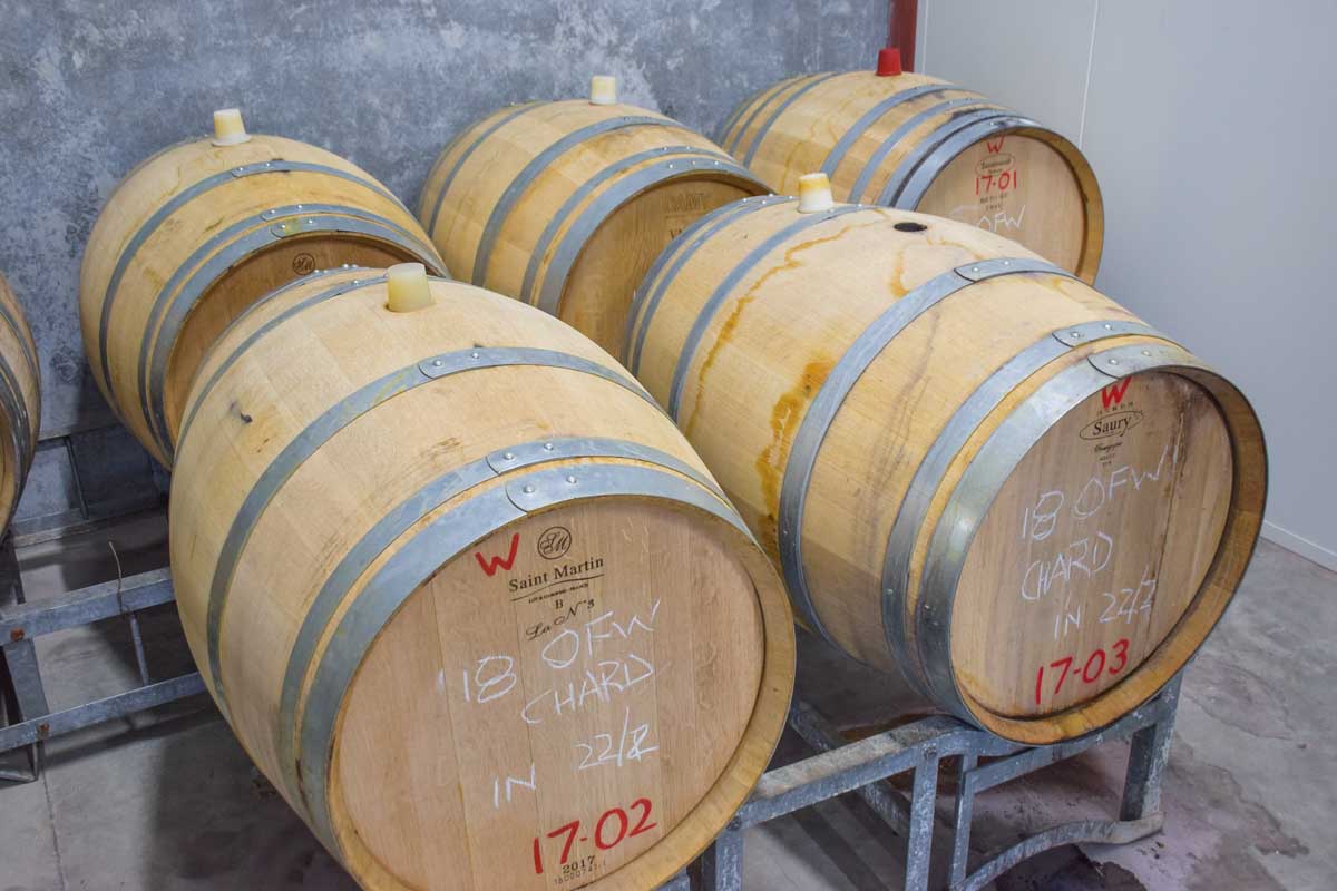 wine barrels at a winery in the Swan Valley, Perth