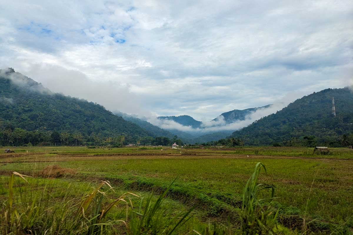 A farm on the side of tthe road on the way to Minneriya National Park Sri Lanka