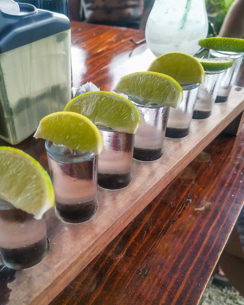 A line of tequila shots on a tour in Puerto Vallarta, Mexico