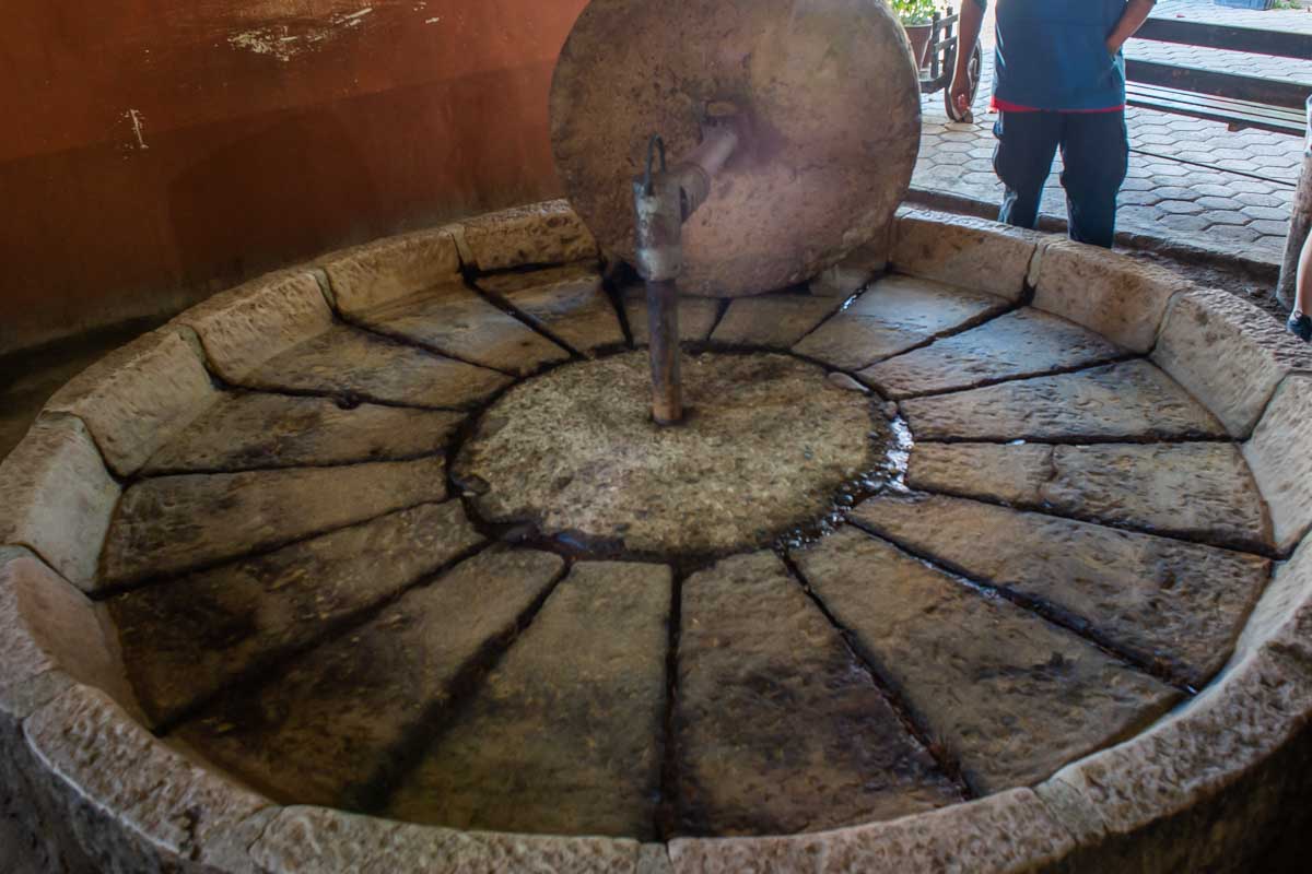 A rolling pin at a tequila distillery near Puerto Vallarta, Mexico