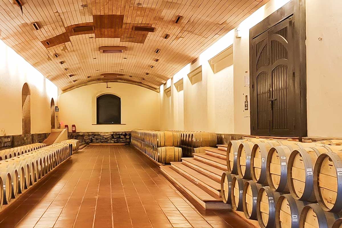 Wine barrels at Concha y Toro Vineyard 