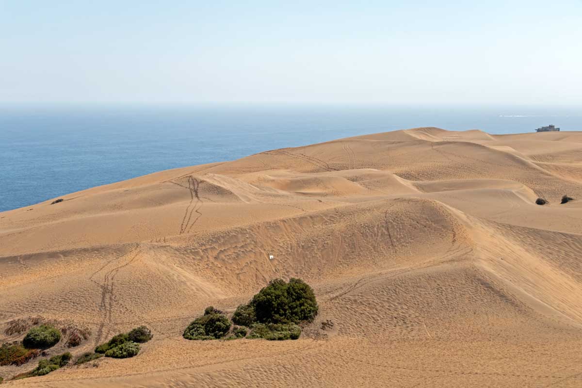 Concon Dunes in Chile