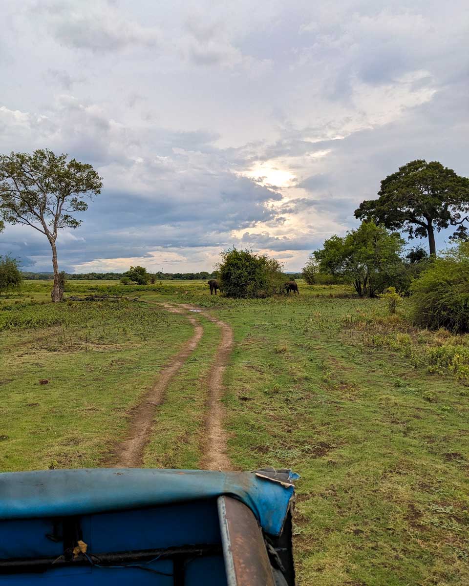 Enjoying the sunset from our jeep at Minneriya National Park Sri Lanka