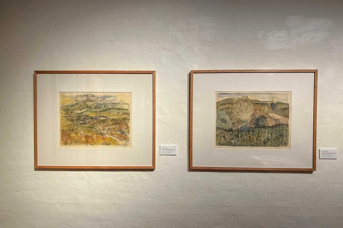 Manly Art Gallery and Museum