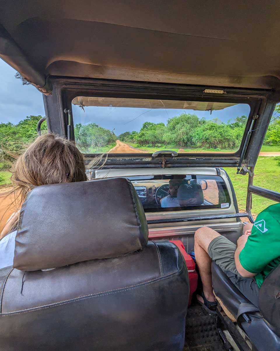 Our view from the back of the jeep as we drive down a dirt road in Yala National Park Sri Lanka