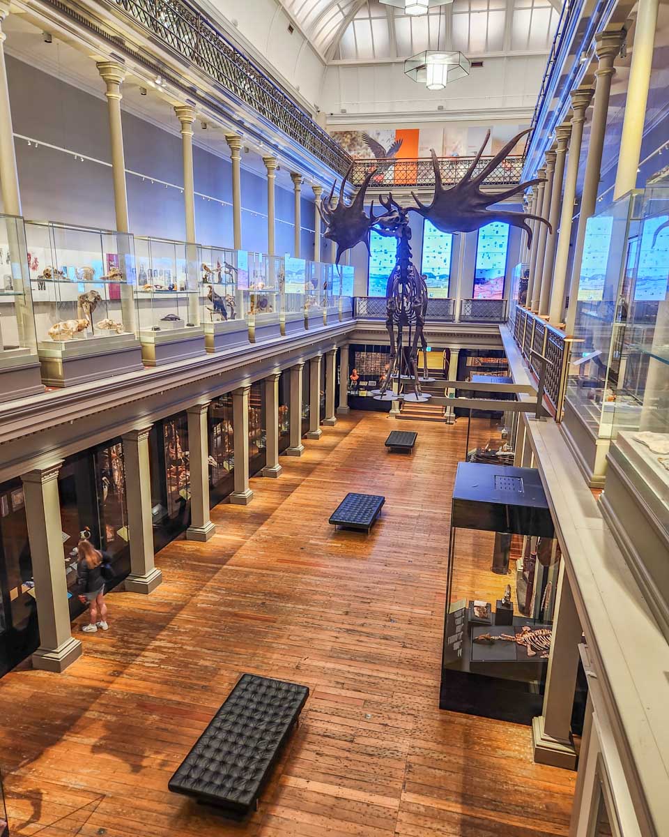 The Australian Museum in Sydney, Australia