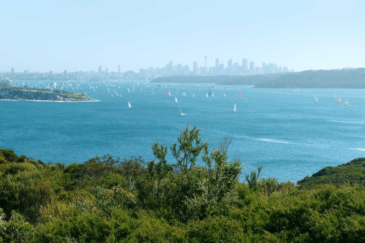 Views of Sydney from Sydney Harbour National Park