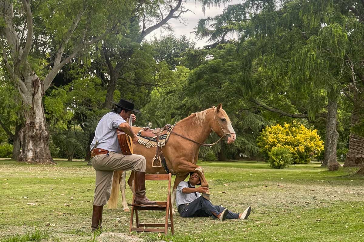 A Gaucho plays music to a horse at a Gaucho tour from Buenos Aires