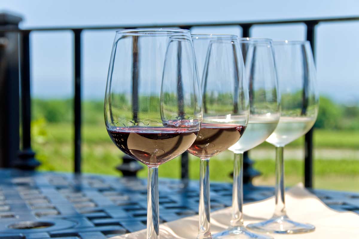 A line of glasses of wine we tried on a Mendoza Wine Tour