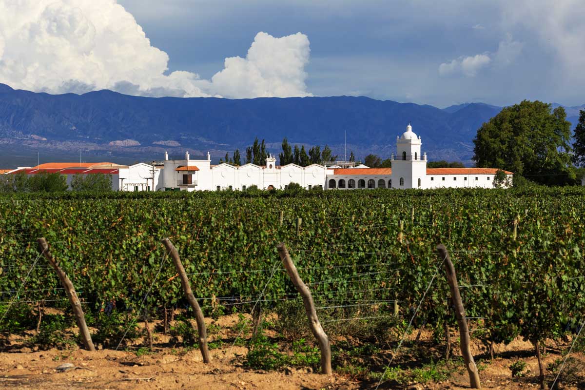 A winery sits in the valley surounded by vines in Mendoza, Argentina