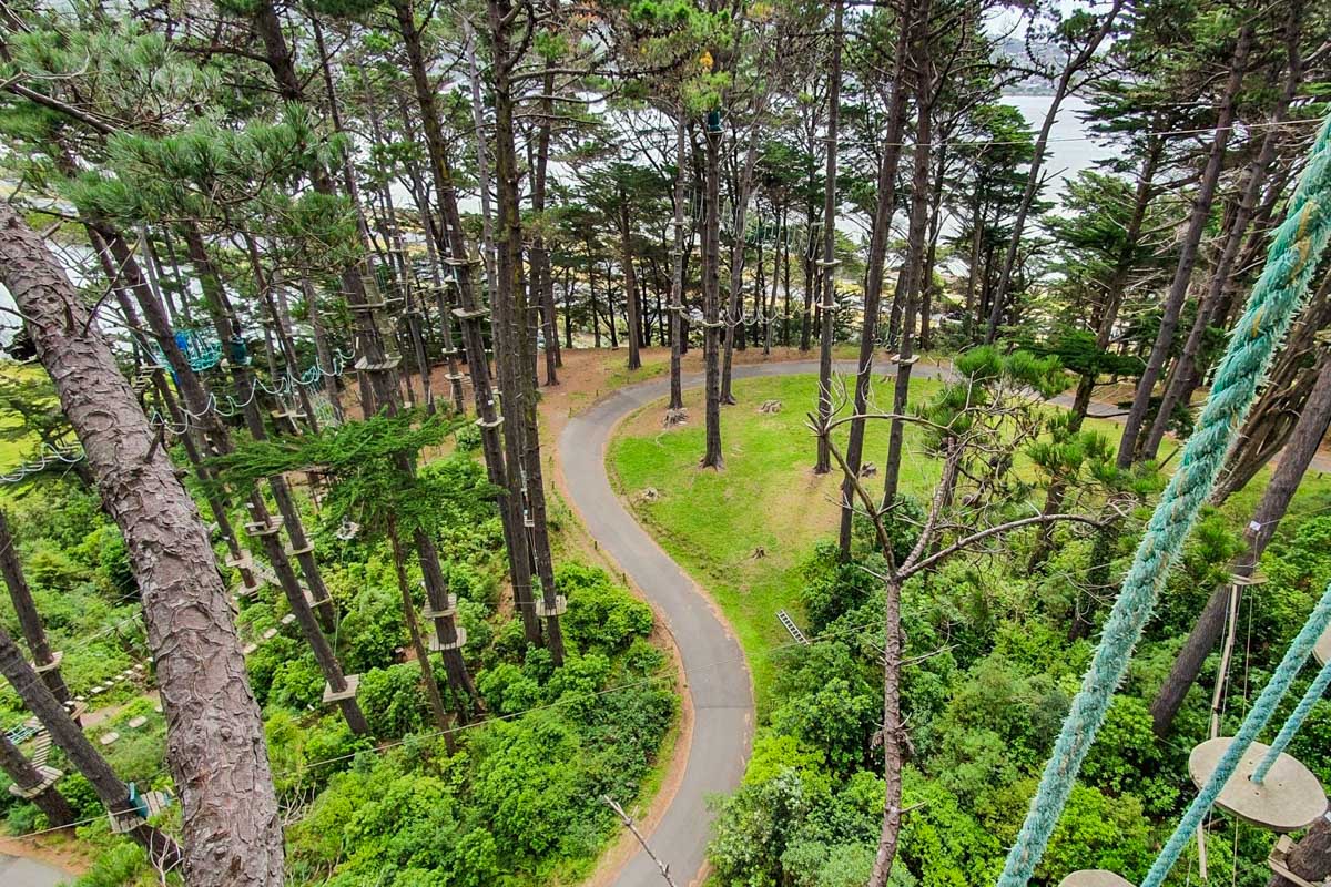 Adrenalin Forest NZ Wellington