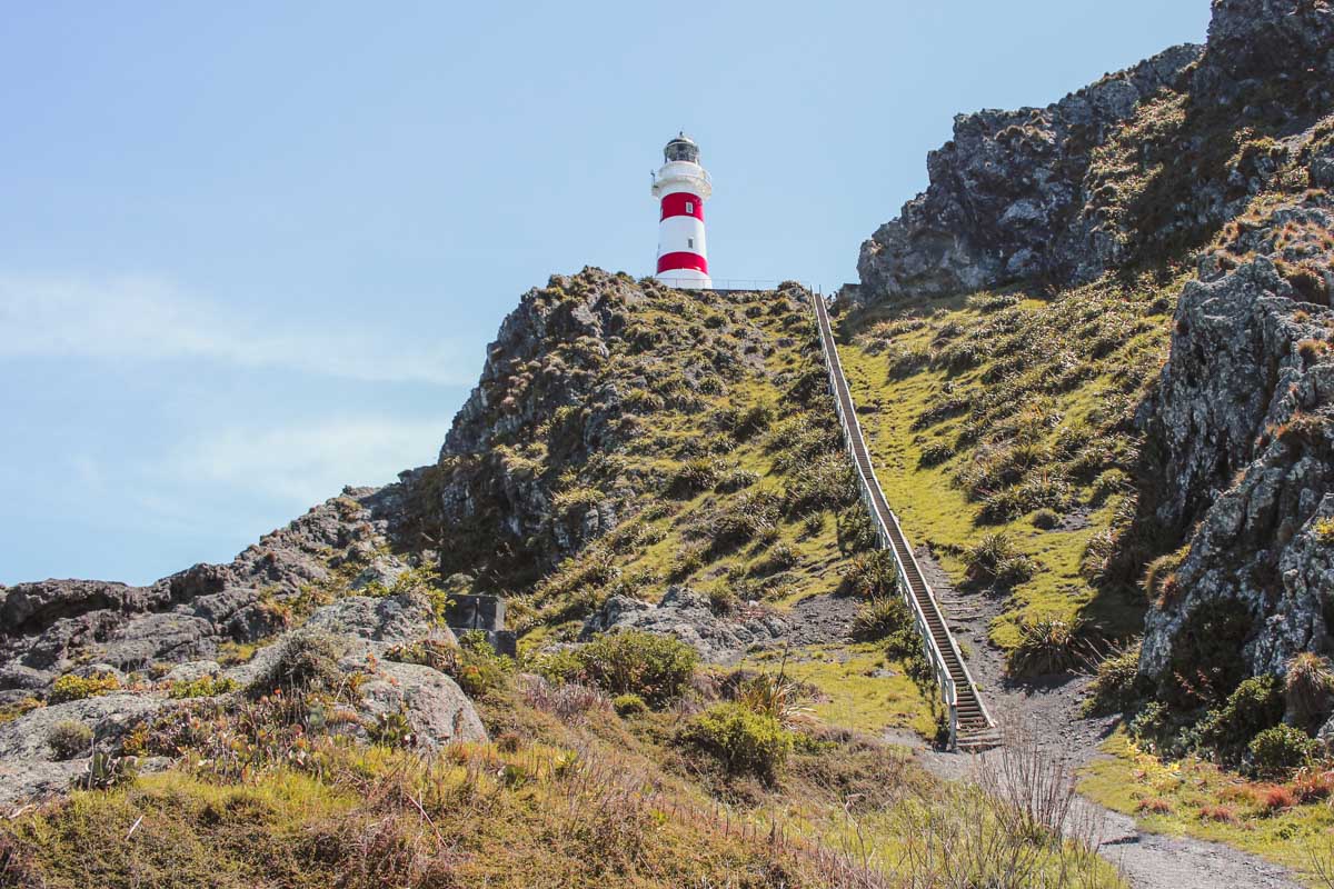 Cape Palliser lighthouse, New Zealand