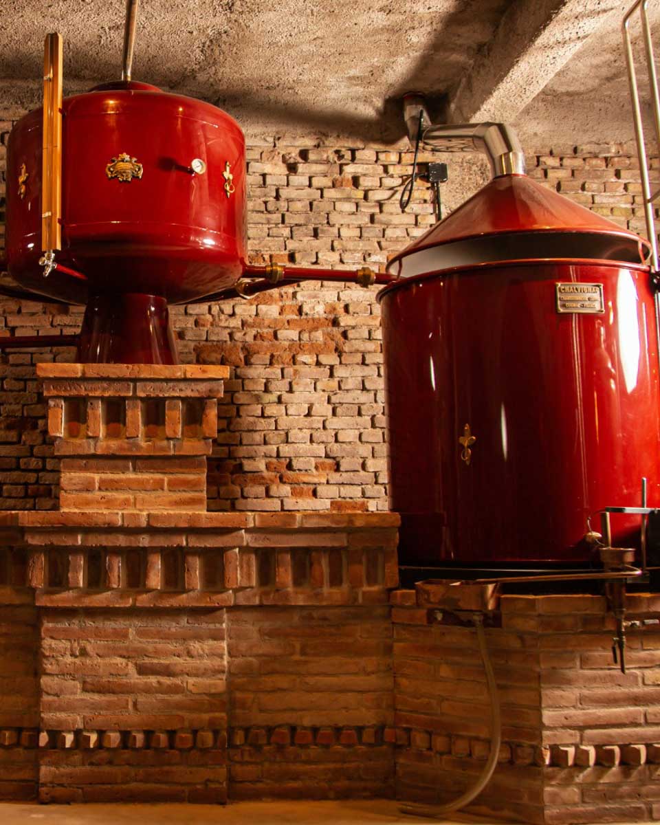 Catena Zapata Winery