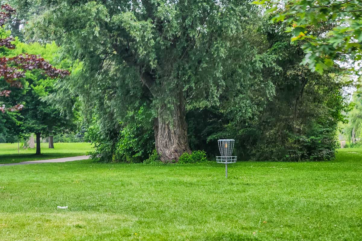 Disc Golf on the Toronto Islands in Toronto, Canada
