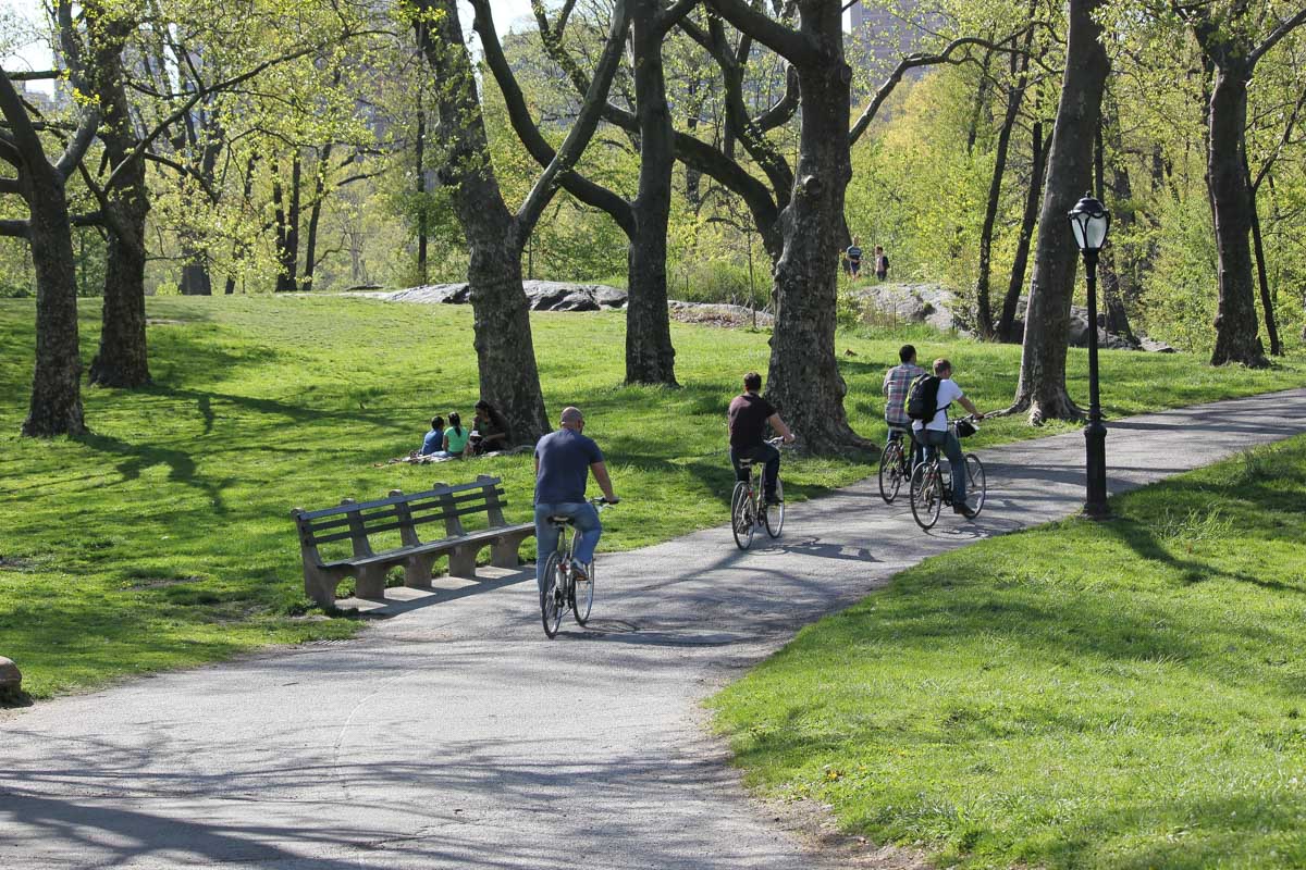 People bike ride through Central Park, NYC