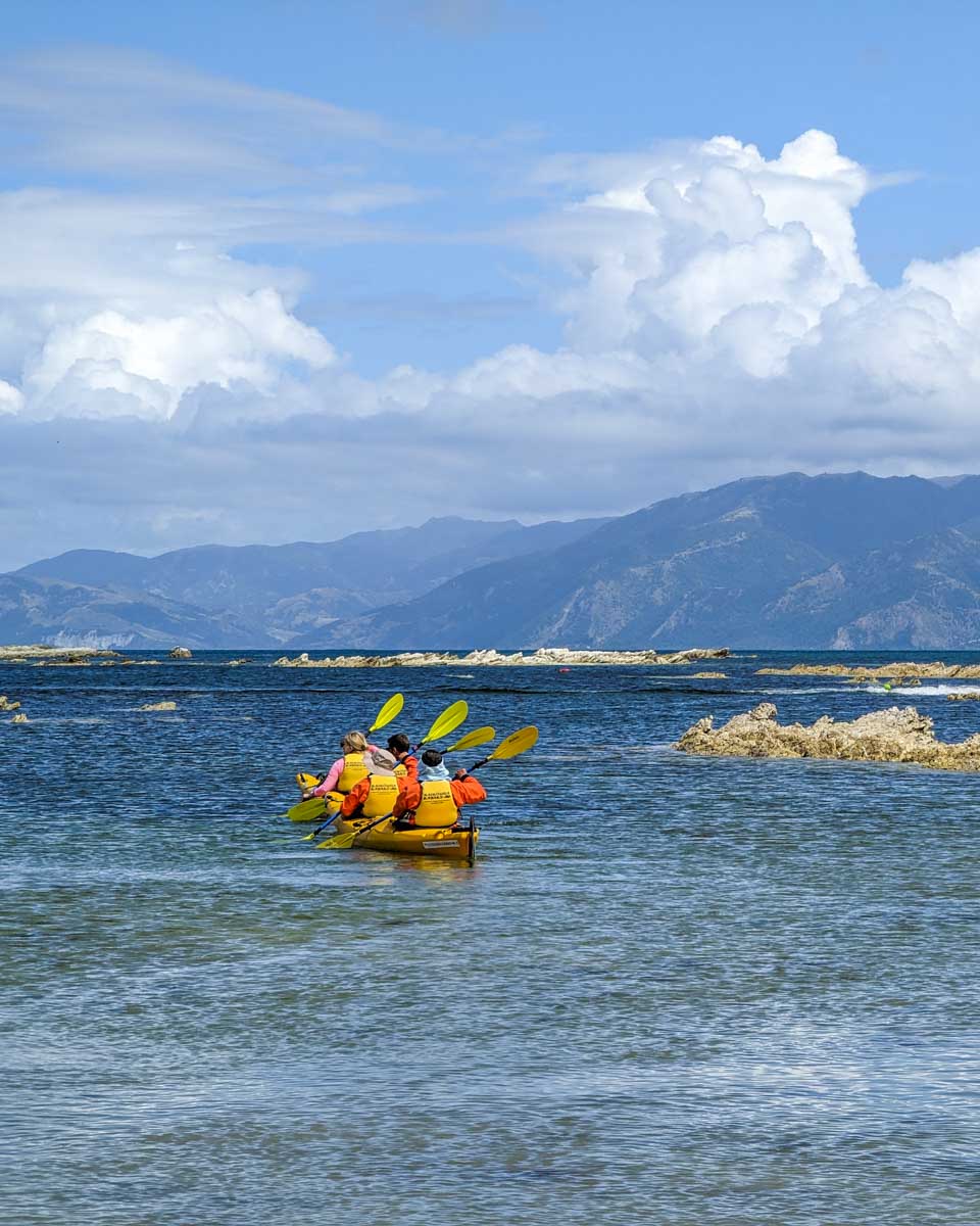A group of people go kayaking in Kaikoura, New Zealand