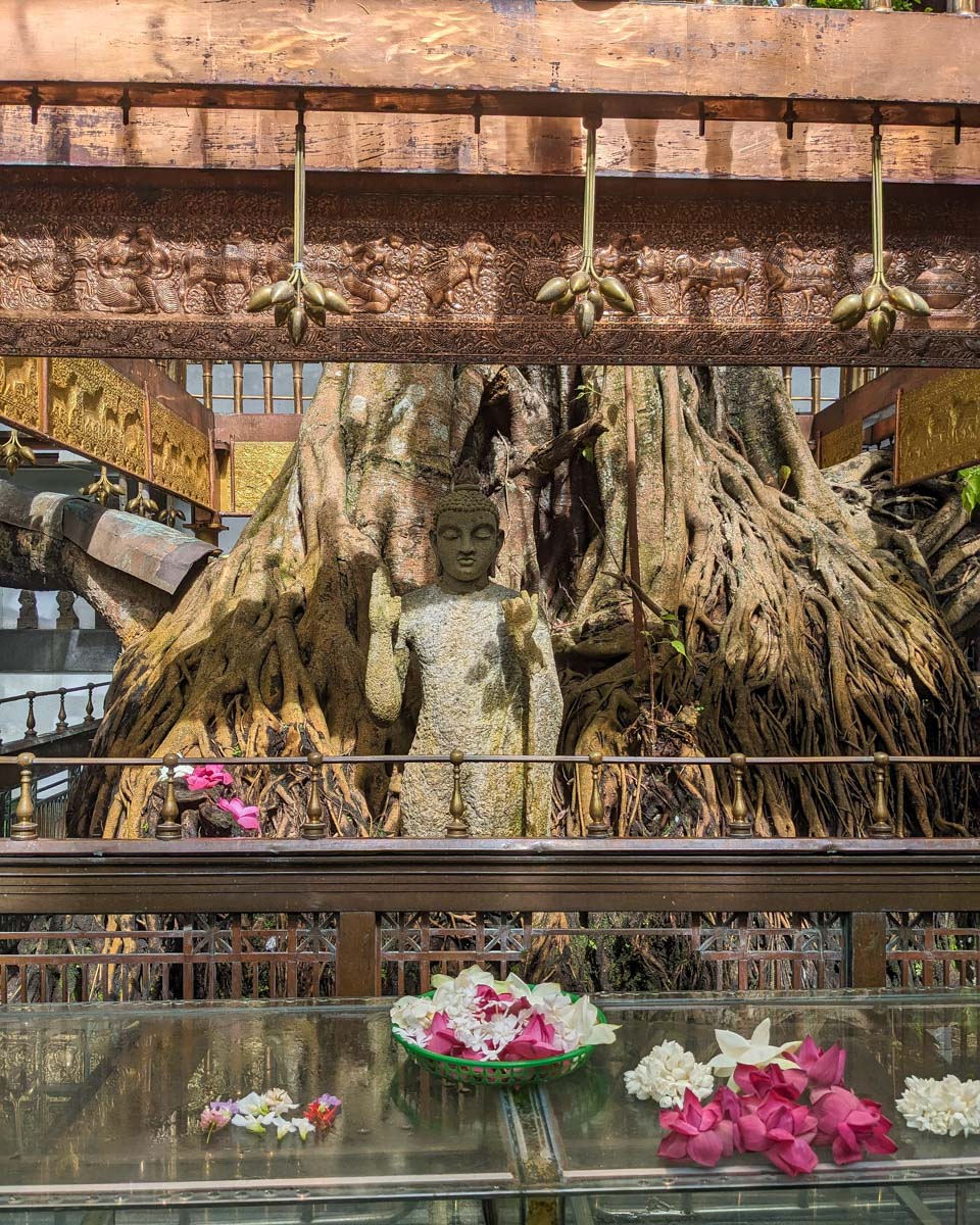 A stone Buddha statue shrine under a bodhi tree with flower offerings in front of it at Gangarama temple Colombo, Sri Lanka