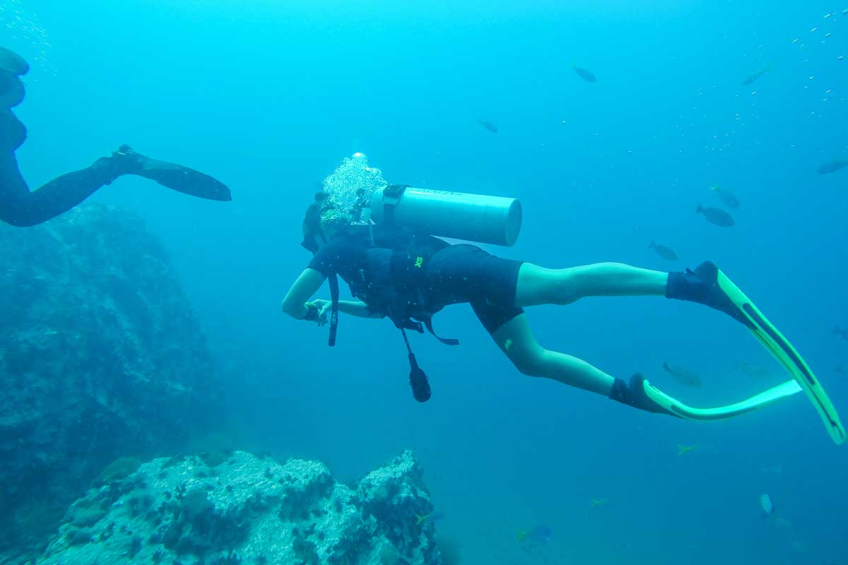 Bailey swims past while scuba diving in Tayrona National Park