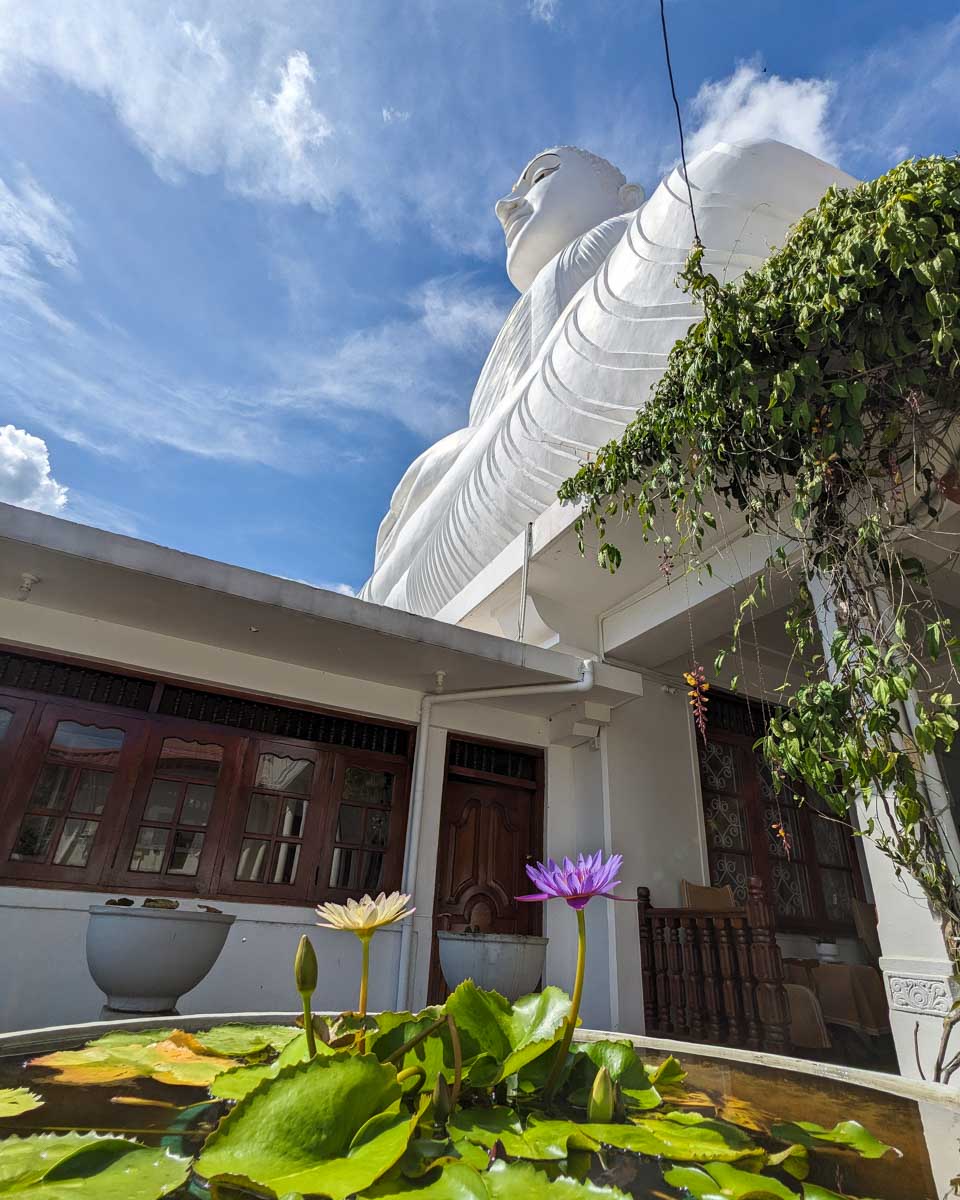 Colorful flowers at the base of the Big Buddha Kandy Sri Lanka